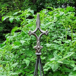 36, 47, or 72&quot; Garden Obelisk - Garden Tuteur - Star Cross