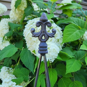 36, 47, 72&quot; Garden Obelisk - Garden Tuteur - Wise Oak Acorn