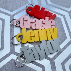 Grand porte-clés personnalisé XL - Keychain personnalisé - 3D Imprimé - Remplisseur de sac de fête - Sac d'école - Étiquette de sac de livre - Étiquette de bagage - Petit cadeau