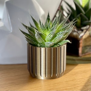 Cactus Succulent Planter Plant Pot Holder - Desk Decor - Office Tidy - New Home - Valentines Day - Home Decor - Mothers Day - Gardener