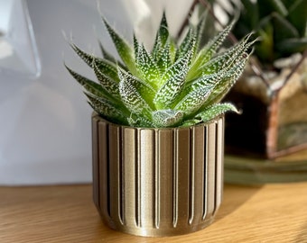 PLA Plastic Succulent Planter: Modern Desk Decor