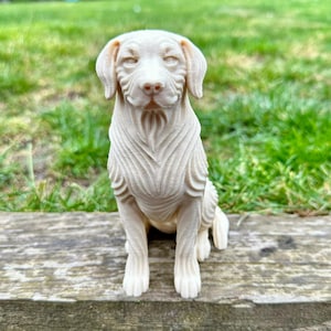 May include: A cream-colored dog figurine in a seated position. The dog has detailed fur texture and a gentle expression. The figurine is placed on a wooden surface with a green grassy background.