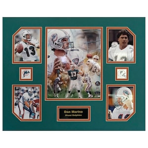 Dan Marino Miami Dolphins NFL Football 16 x 20 inch Collage