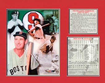 Lot De 4 Poids Vintage Ted Williams – 2.5 Lb Chacun – Sears Roebuck Années 60/70