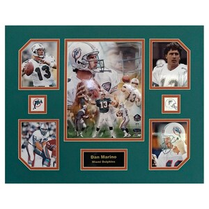 Dan Marino Miami Dolphins NFL Football 16 x 20 inch Collage