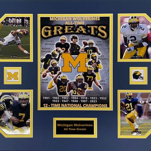 U Michigan Wolverines NCAA Football All-Time Greats 16 x 20 inch Collage