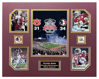 Florida State U Seminoles NCAA Football 2013-14 BCS National Champions 16 x 20 inch Collage