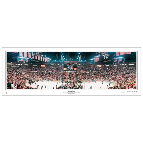 Joe Louis Arena Final Game Photo Size: 11 x 14