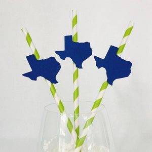 12 State Striped Party Straws - Texas - South Carolina - Housewarming - New House - Going Away Party - Celebration - New Job - New State