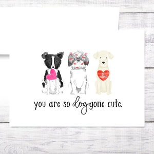 Carte Saint-Valentin - Anniversaire - Chien - Jeu de mots - Drôle - Petit-enfant - Enfant - Petite amie - Mari - Copain - Femme - Envoie gratuit