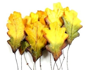 12 Autumn Leaves Fall Leafs Leaves Artificial leaves Craft Supplies Scrapbooking Leaves