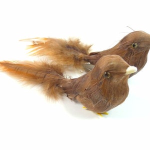 2 braune Vögel Feder Vögel Scrapbooking Cake Topper Verzierungen Handwerk Vögel gefälschte Vögel künstliche Vögel