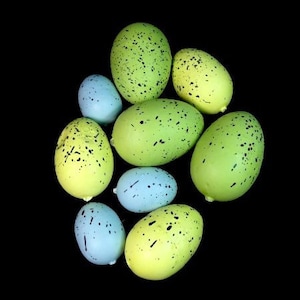 May include: A cluster of speckled eggs in green, yellow, and blue hues, set against a black backdrop. The eggs are of varying sizes and arranged in a circular formation. The speckled design gives a natural appearance.