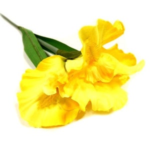 May include: A single yellow artificial iris flower with green stems.