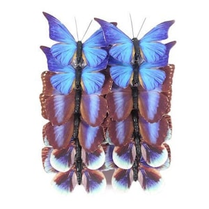 12 Blue Fabric Butterflies Blue Adonis Artificial Fake Blue Butterfly Craft Butterfly Bouquet Wreath Fairy Flower Crown