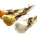 see more listings in the Birds/Nests/Eggs section