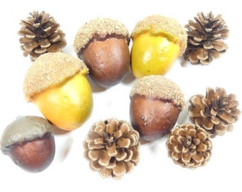 ジャンボどんぐりセット 5個入り クラフトどんぐり 松ぼっくり 秋の