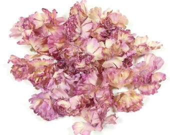 May include: A collection of dried pink carnation flower petals. The petals are delicate and have a soft, faded appearance.
