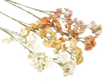 May include: A bouquet of dried flowers in shades of cream, beige, and light brown. The flowers are arranged in a loose, natural style, with some of the stems extending beyond the bouquet.