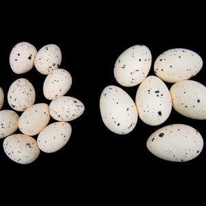 May include: A collection of speckled white eggs with black spots arranged in two groups on a black background.