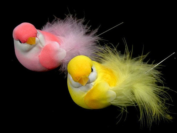 Aerosoles pretty clearance bird