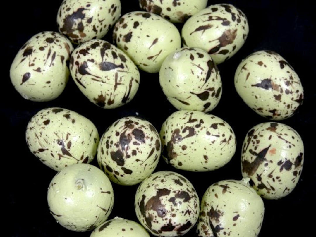 15 Green Speckled Eggs 1 2 Inches Bird Eggs Foam Mini Eggs Speckles