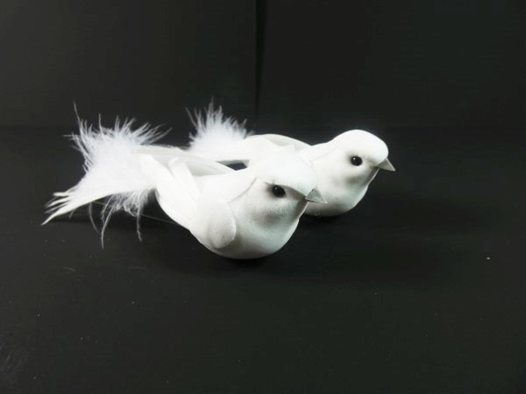 Aerosoles pretty cheap bird