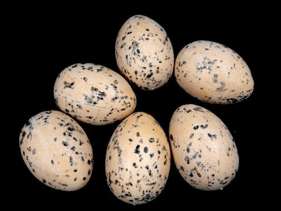 Künstliche Vogel-Eier – 10 Stück, Weiß, 2,2 X 1,8 Cm, Aus Schaumstoff, Für Wellensittiche & Nymphensittiche