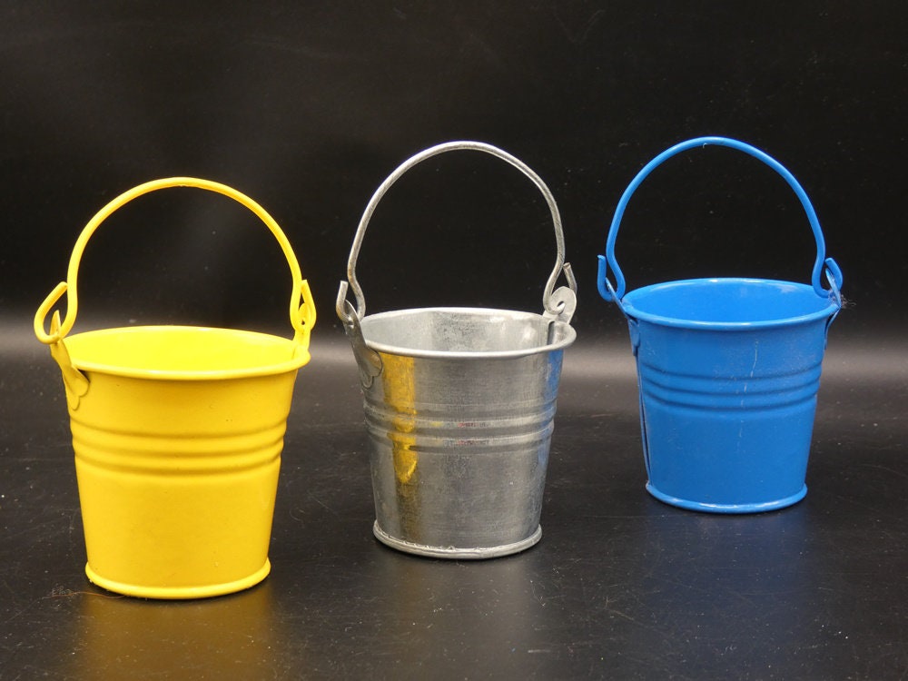 12 Pieces Small Bucket with Handle, Meaty Small Iron Bucket Toy Iron Bucket Flower Pot Succulent Flower Shop, Other