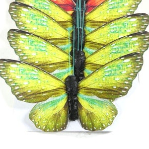 May include: A set of six green and yellow butterfly wings with black veins. The wings are arranged in a fan shape, with the largest wing at the bottom and the smallest wing at the top.