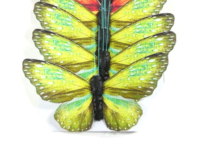 May include: A set of six green and yellow butterfly wings with black veins. The wings are arranged in a fan shape, with the largest wing at the bottom and the smallest wing at the top.