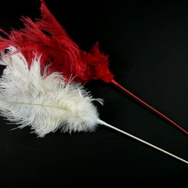 Feather Spray Etsy