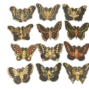 Puede incluir: Doce parches de mariposa bordados en negro, dorado y marrón. Las mariposas tienen diferentes patrones de alas y están dispuestas en tres filas de cuatro.