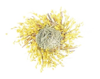 Birds nest Birdsnest 4 Inches Scrapbooking Embellishments Wreaths Craft Supplies