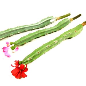 1 lange gefälschte Kaktus künstlichekkten Kaktus Bouquet Kranz Blumenarrangement Herzstück Hut Verschönerung