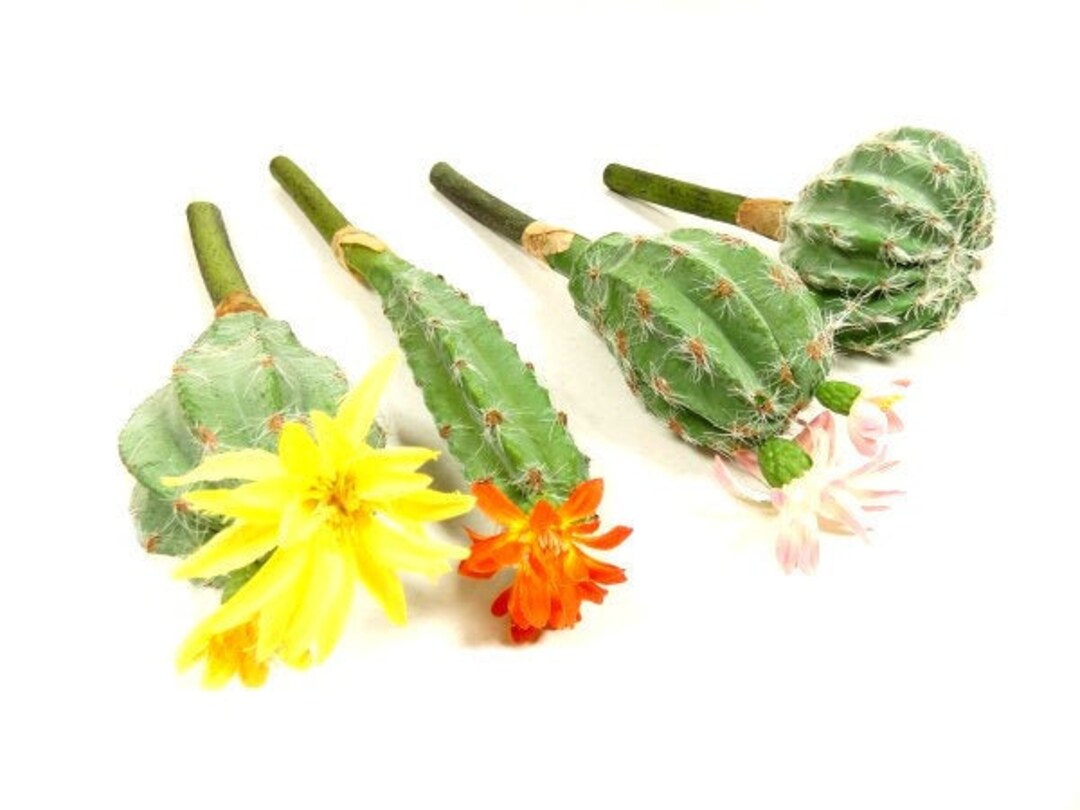 1 Fake Cactus Artificial Cactus Bouquet Wreath Flower Arrangement