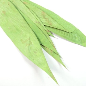 5 bamboe bladeren groene bladeren grote gedroogde bladeren kunstmatige bladeren nep groene bladeren Craft bladeren