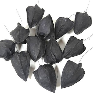 Könnte beinhalten: Eine Gruppe von 12 schwarzen Papierlaternen-Blütenknospen mit Drahtstängeln.