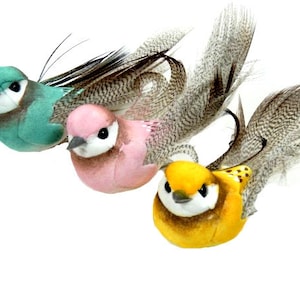 2 Fake Vögel Kunstfeder Vögel Pilz Vögel Basteln Vögel Künstliche Vögel Fake Vögel Scrapbooking Verzierungen Cake Topper