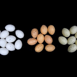 25 Fake Quail Eggs Speckled Eggs Bird Eggs Mini Eggs Easter Eggs Craft Eggs Artificial Eggs Fake Mini Eggs Easter Eggs