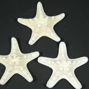 3 Starfish Knobby Starfish Big Starfish Nautical Crafts Mermaid Party Wedding Decor Craft Supplies Scrapbooking