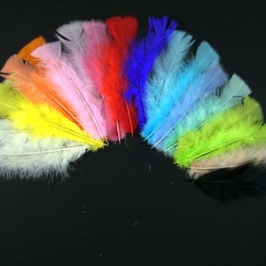 25 Flat Turkey Plumage 4.75-6.75 Inches Turkey Feathers Beautiful Feathers Unique Feathers Wedding Feathers Hat Embellishment