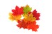 25 Artificial Maple Autumn Leaves Autumn Leaves Red Orange Yellow Fall Colors Scrapbooking Crafting Embellishments Wreaths Maples Leafs 