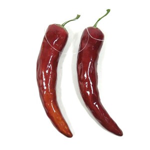 May include: Two red chilli peppers with green stalks, hanging from a white string.