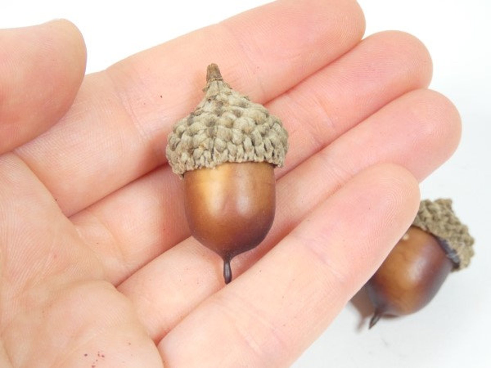 9 Fake Brown Acorns Artificial Acorns Hat Embellishment Etsy