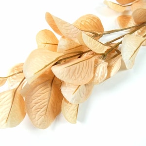 Beige Artificial Cotinus Coggygria Leaves Smoketree Leaves Smoke Tree Leaves Scrapbooking Crafting Embellishments Wreaths