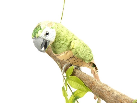1 pappagallo verde pirata costume torta topper uccello decorativo finto  pappagallo artificiale bouquet corona di uccello -  Italia
