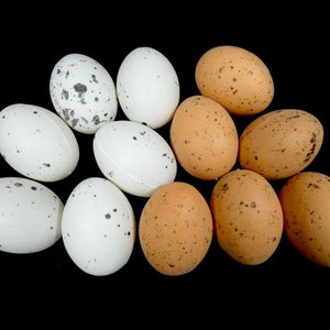 Può includere: Un gruppo di dieci uova macchiate, alcune bianche e alcune marroni, disposte a semicerchio su uno sfondo nero.