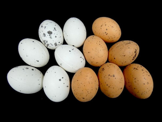 zwaarlijvigheid volgens vertaling 6 grijs wit of roze bruin gespikkelde eieren vogel eieren - Etsy België