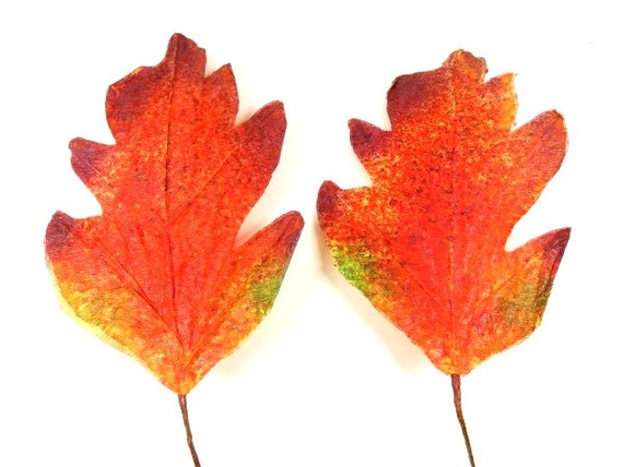 2 groe Herbst Bltter Herbst Bltter Bltter knstliche Bltter Handwerk  liefert Scrapbooking Bltter rot grn - Etsy Schweiz